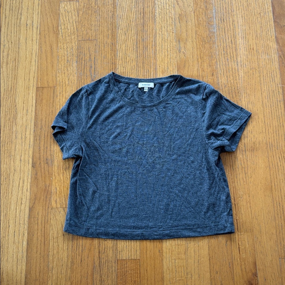 Aritzia Sunday Best Cropped Gray Short Sleeve T-Shirt